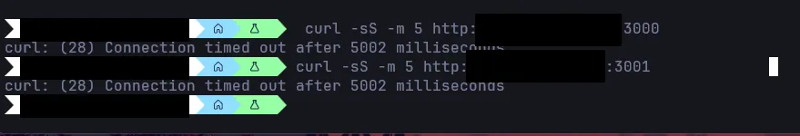 curl to the VPS IP on ports 3000 and 3001: both connection
timed out