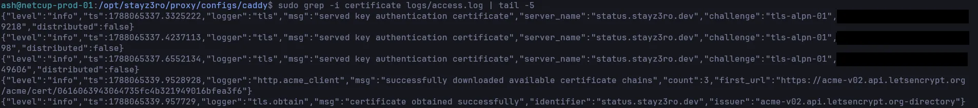 Caddy access log: repeated "served key authentication certificate" for
status.stayz3ro.dev, then "certificate obtained successfully" from
acme-v02.api.letsencrypt.org