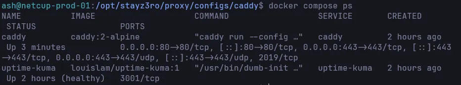 docker compose ps: caddy with 80/443 published, uptime-kuma with only
its internal 3001/tcp, never published to the host